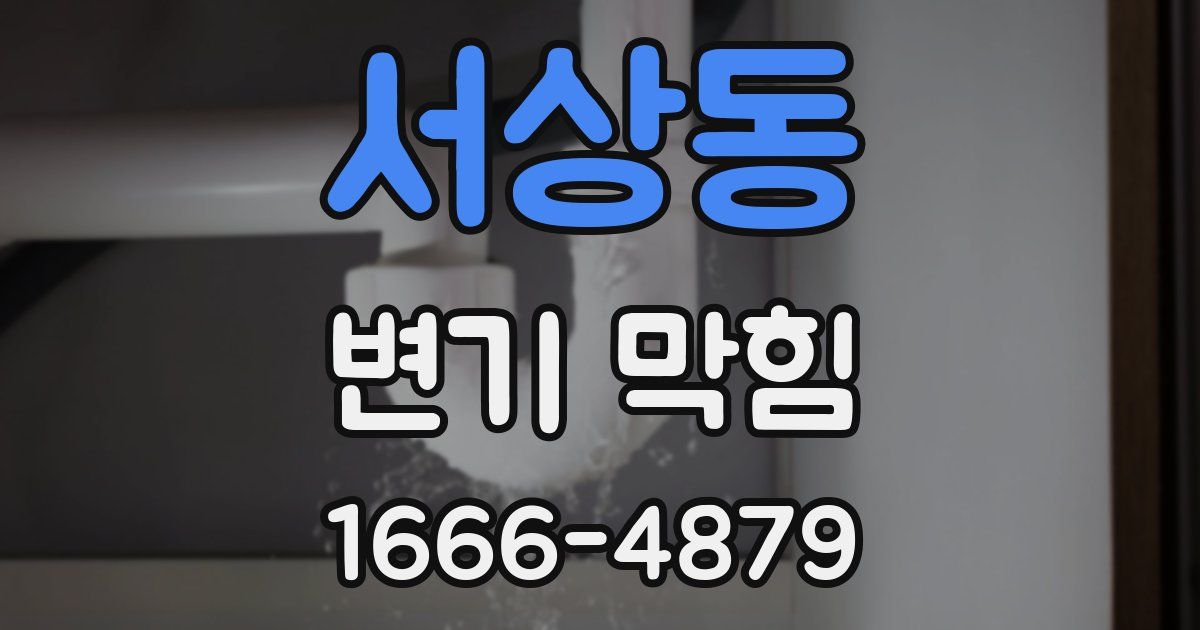 서상동 변기 막힘