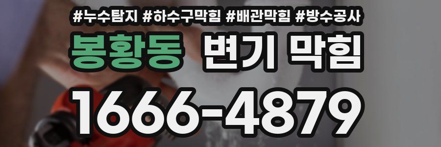 봉황동 변기 막힘