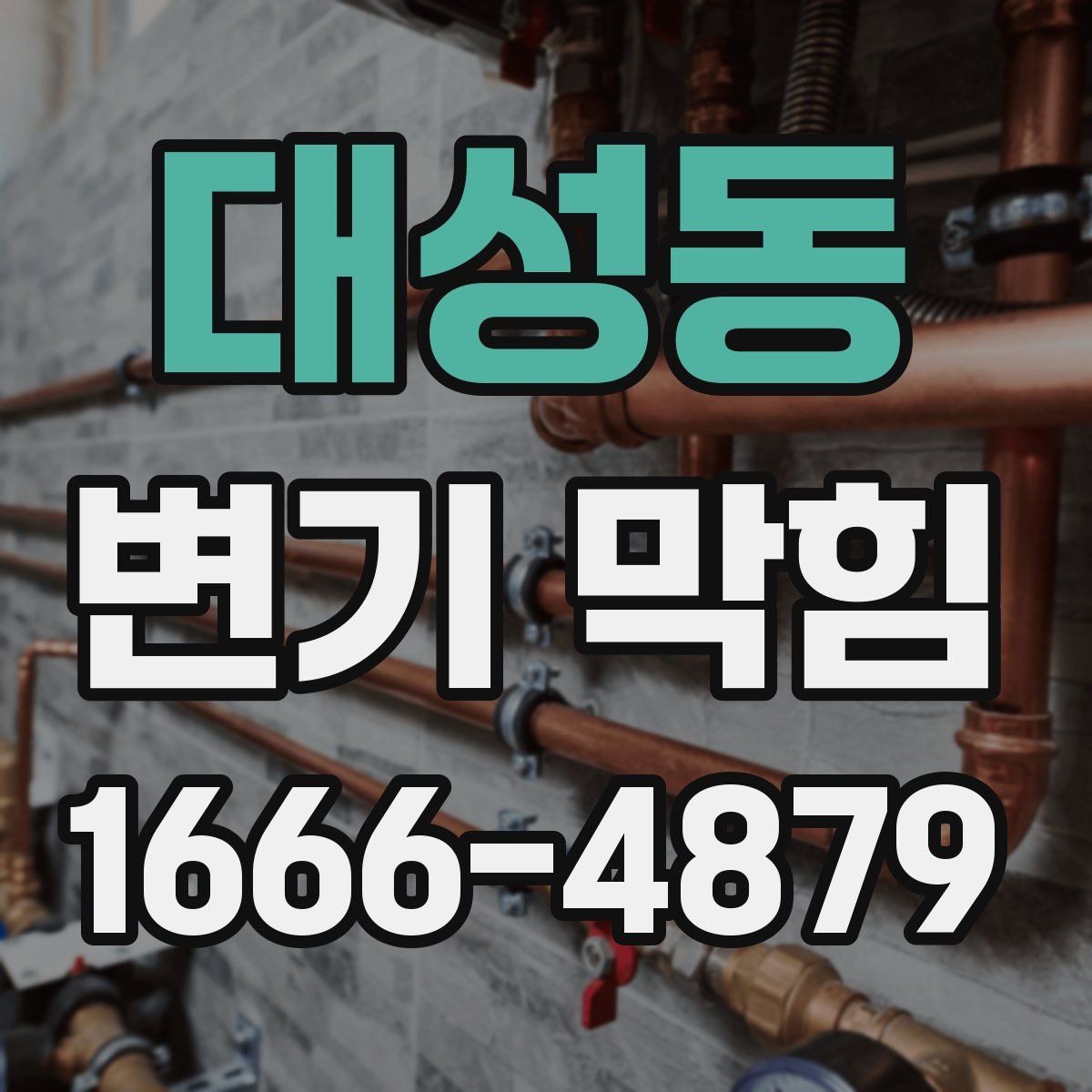 대성동 변기 막힘