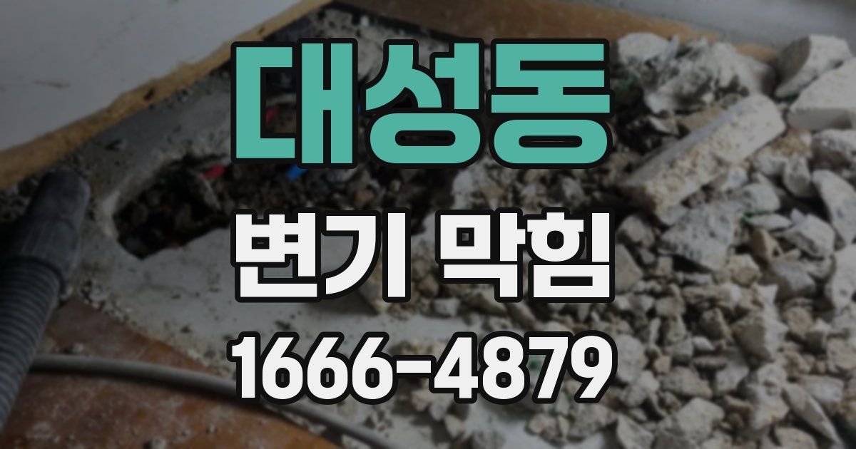대성동 변기 막힘