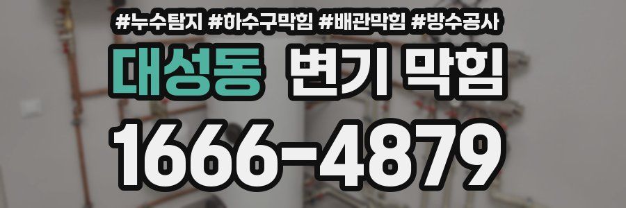 대성동 변기 막힘