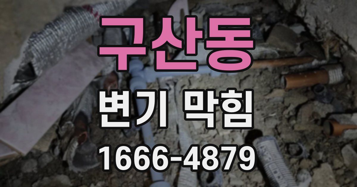 구산동 변기 막힘
