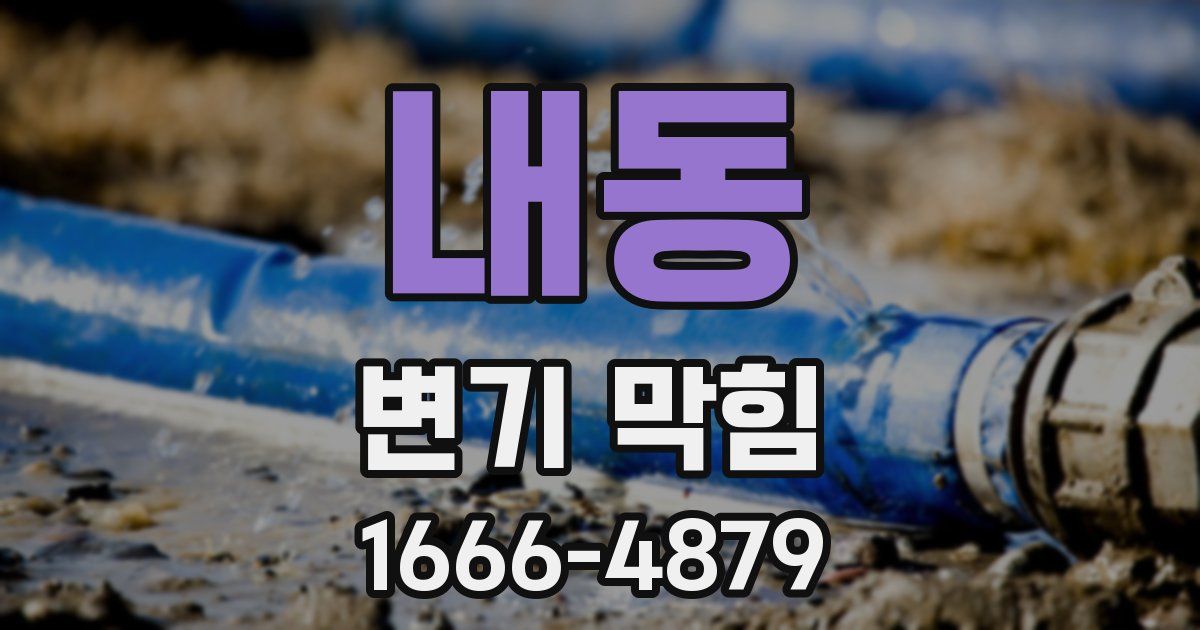 내동 변기 막힘