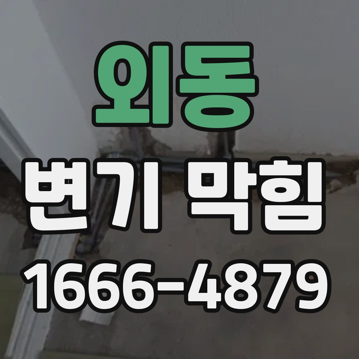 외동 변기 막힘