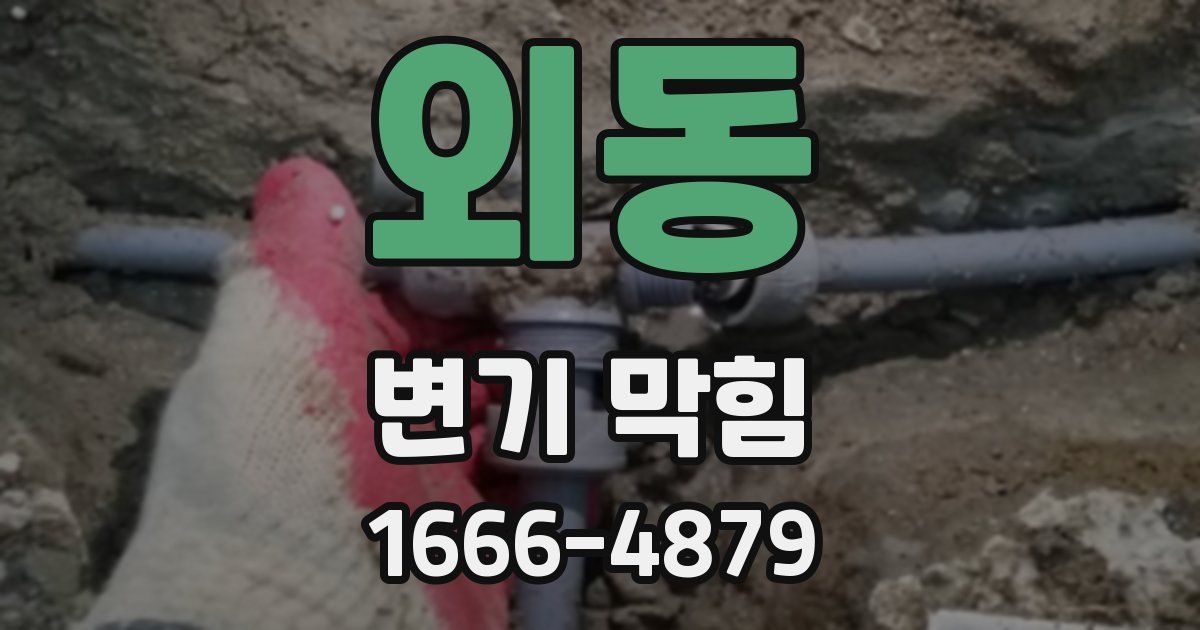 외동 변기 막힘