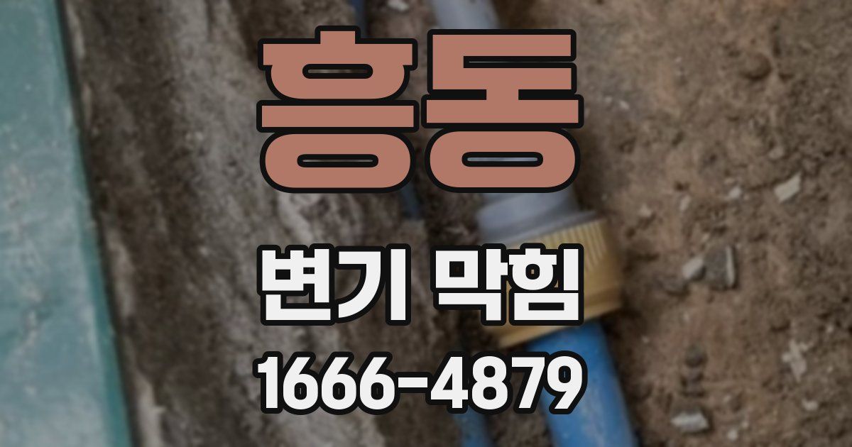 흥동 변기 막힘