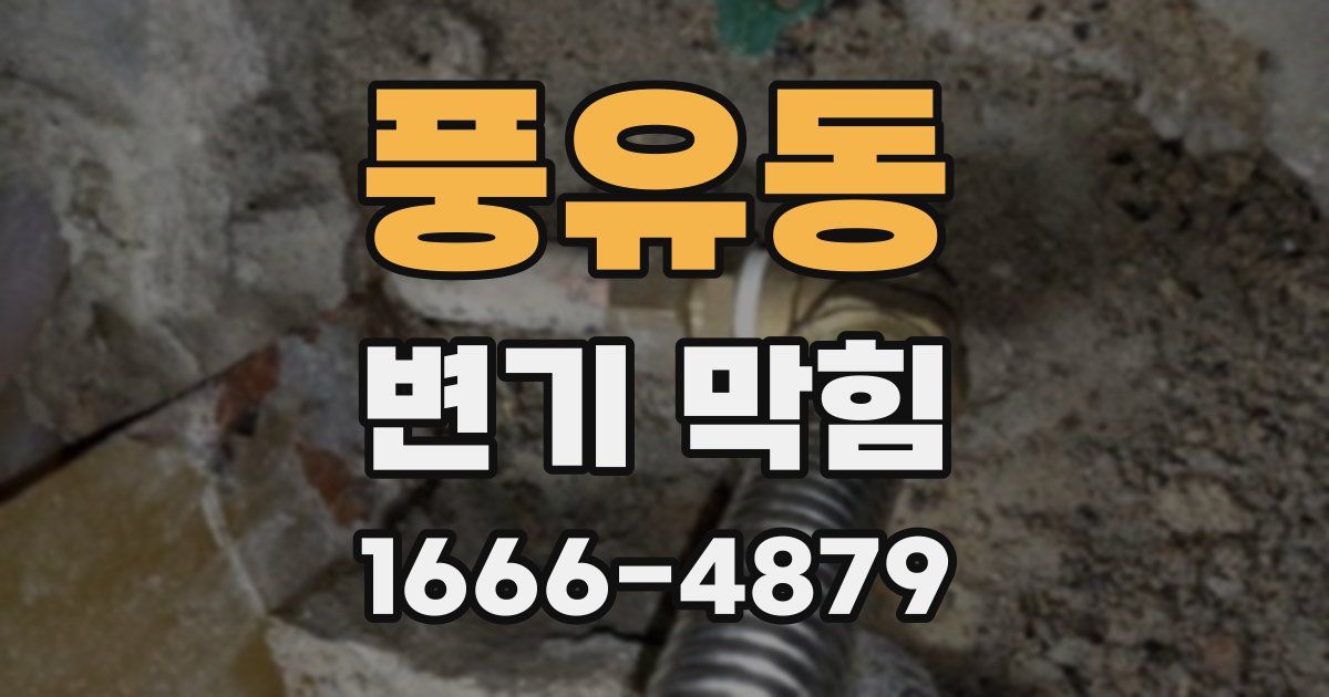 풍유동 변기 막힘