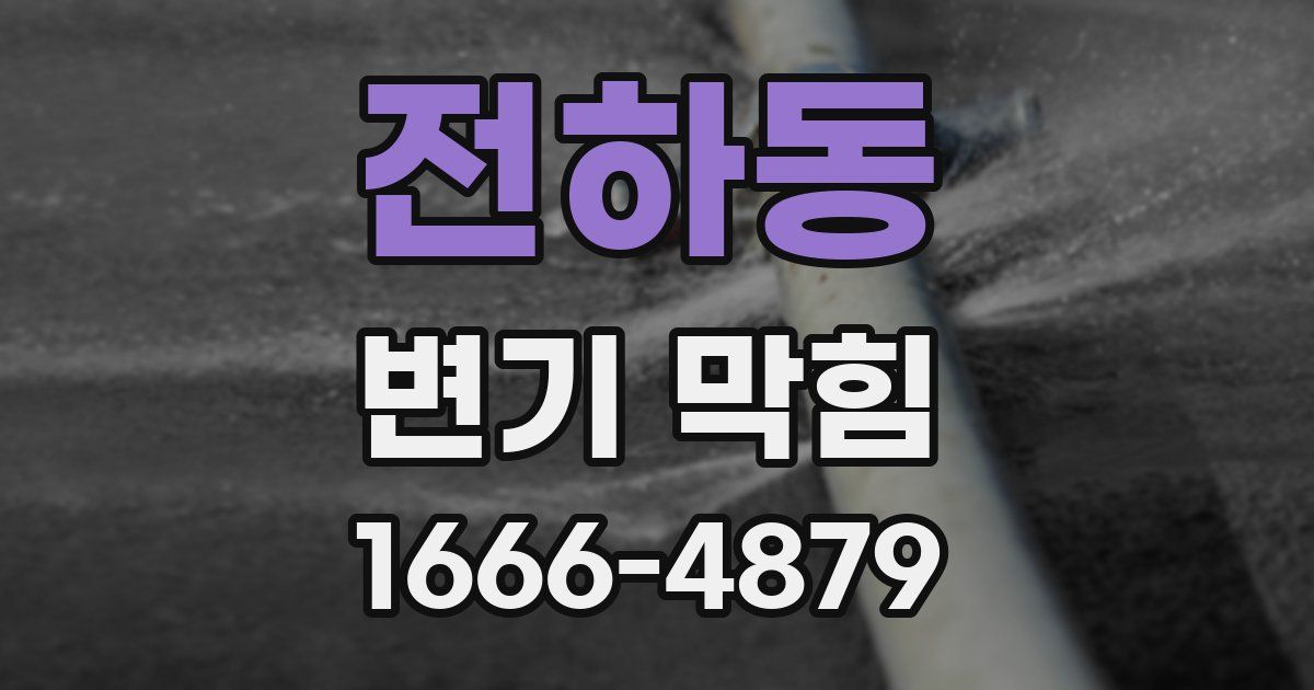 전하동 변기 막힘