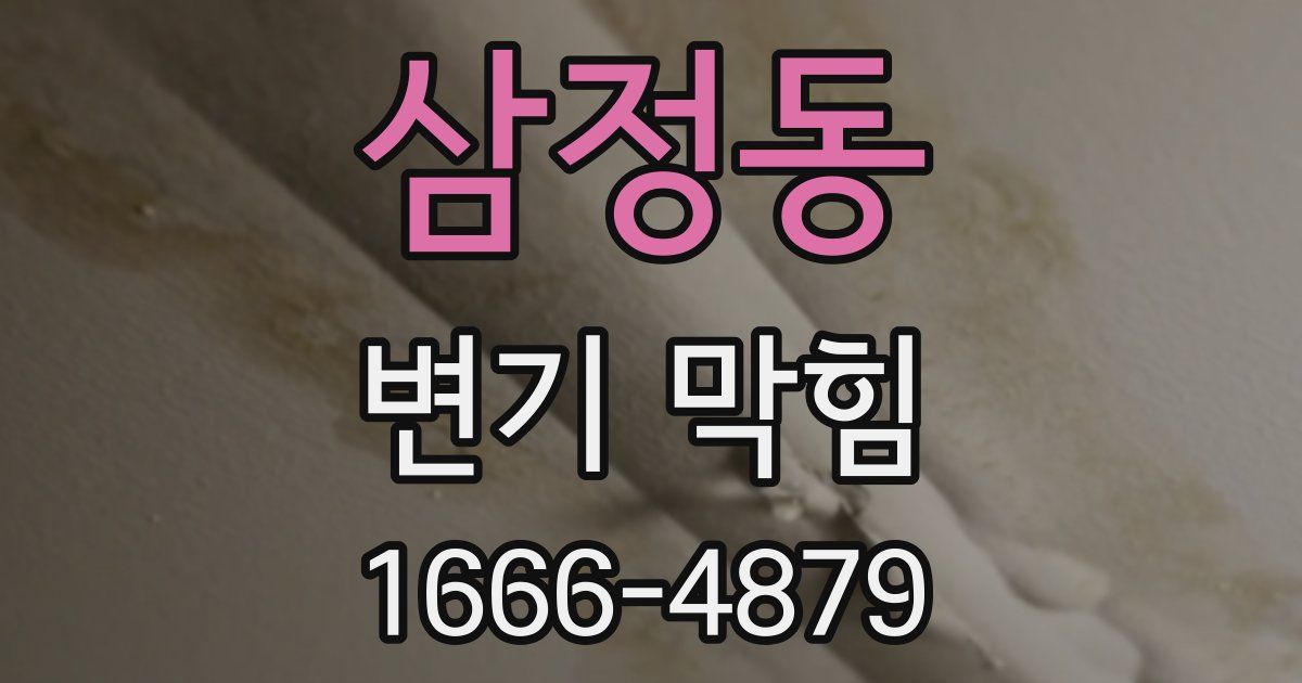 삼정동 변기 막힘
