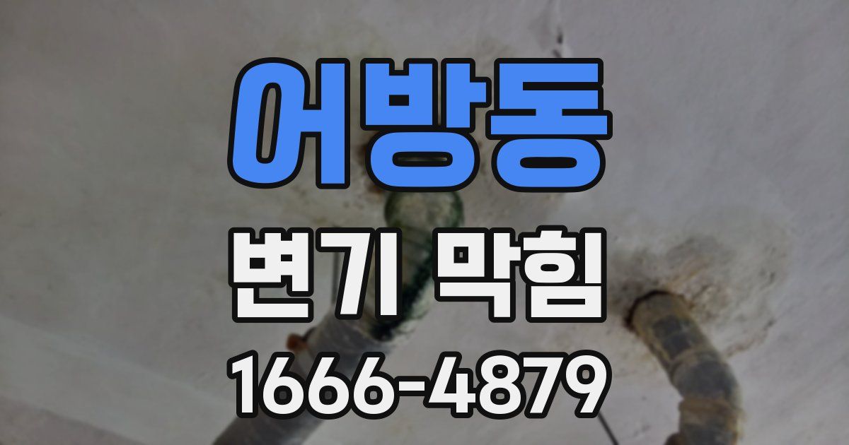 어방동 변기 막힘