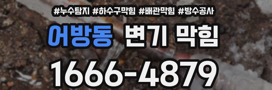 어방동 변기 막힘