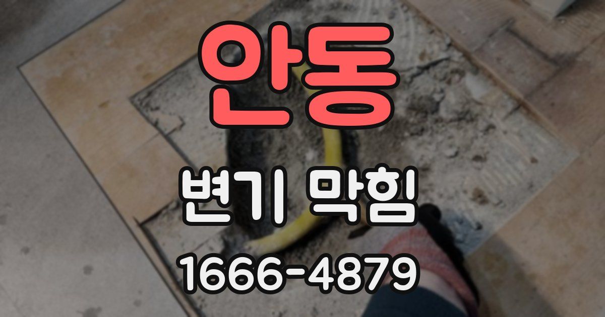 안동 변기 막힘