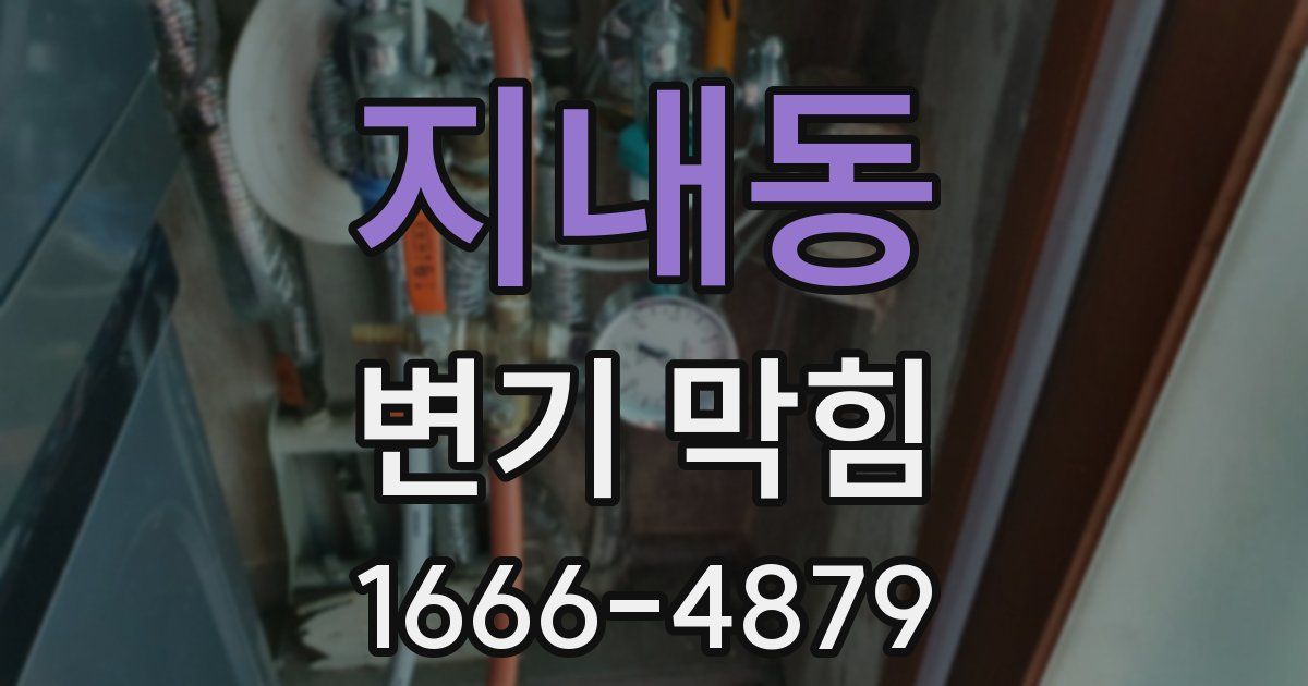 지내동 변기 막힘