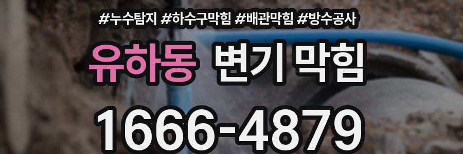 유하동 변기 막힘