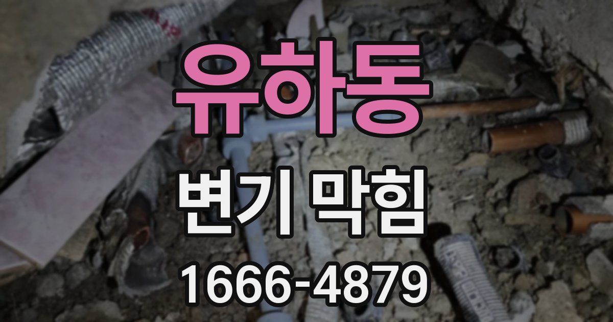 유하동 변기 막힘