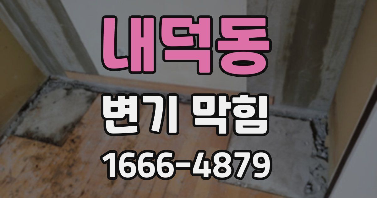 내덕동 변기 막힘