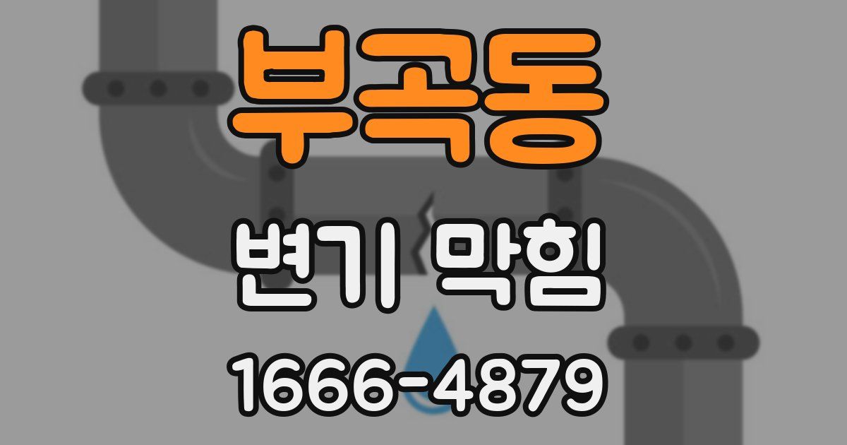 부곡동 변기 막힘