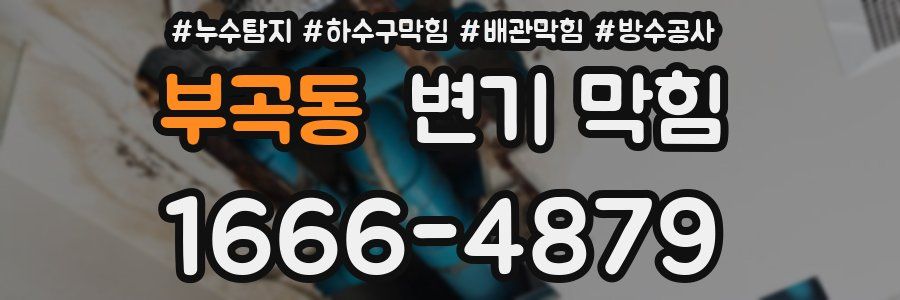 부곡동 변기 막힘