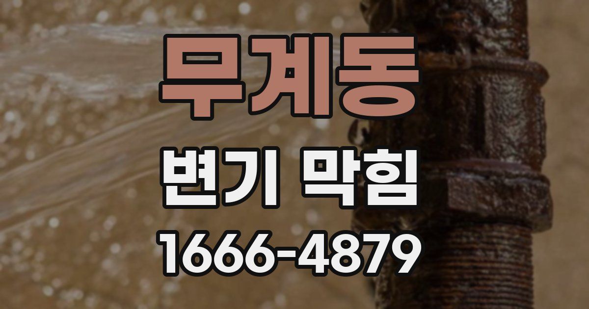 무계동 변기 막힘