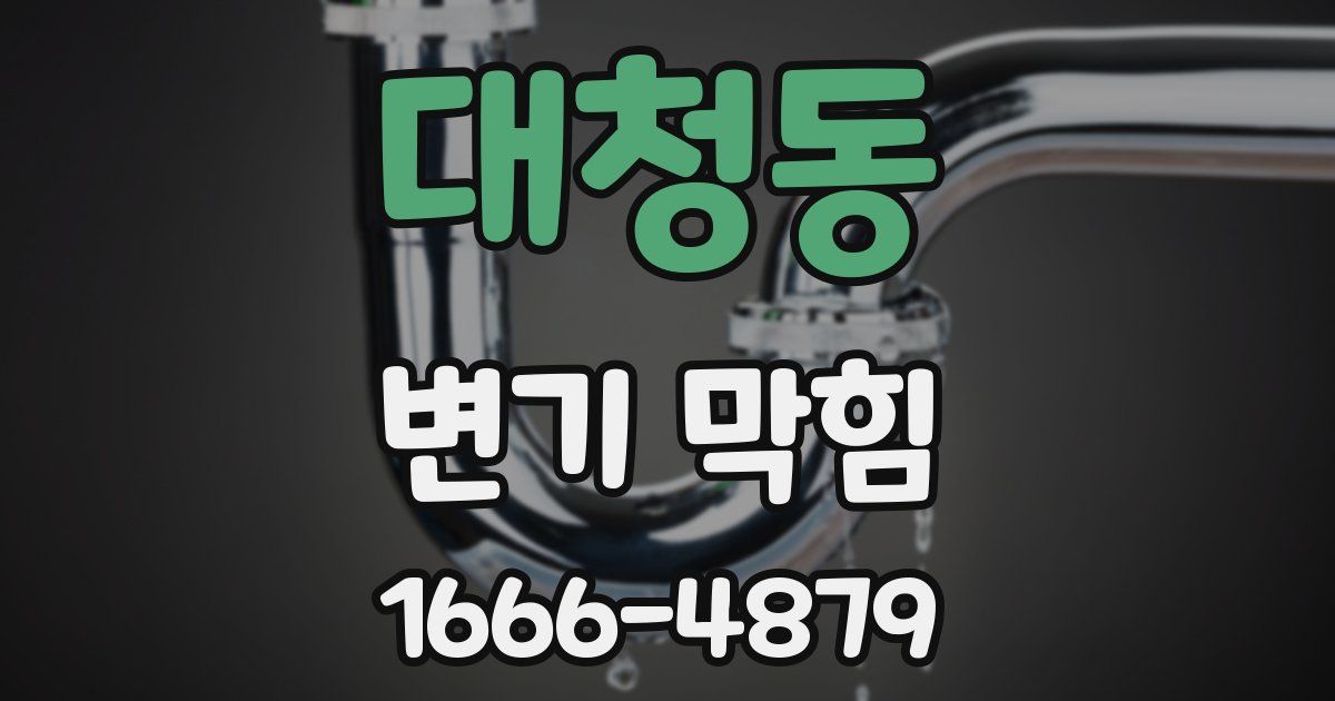 대청동 변기 막힘