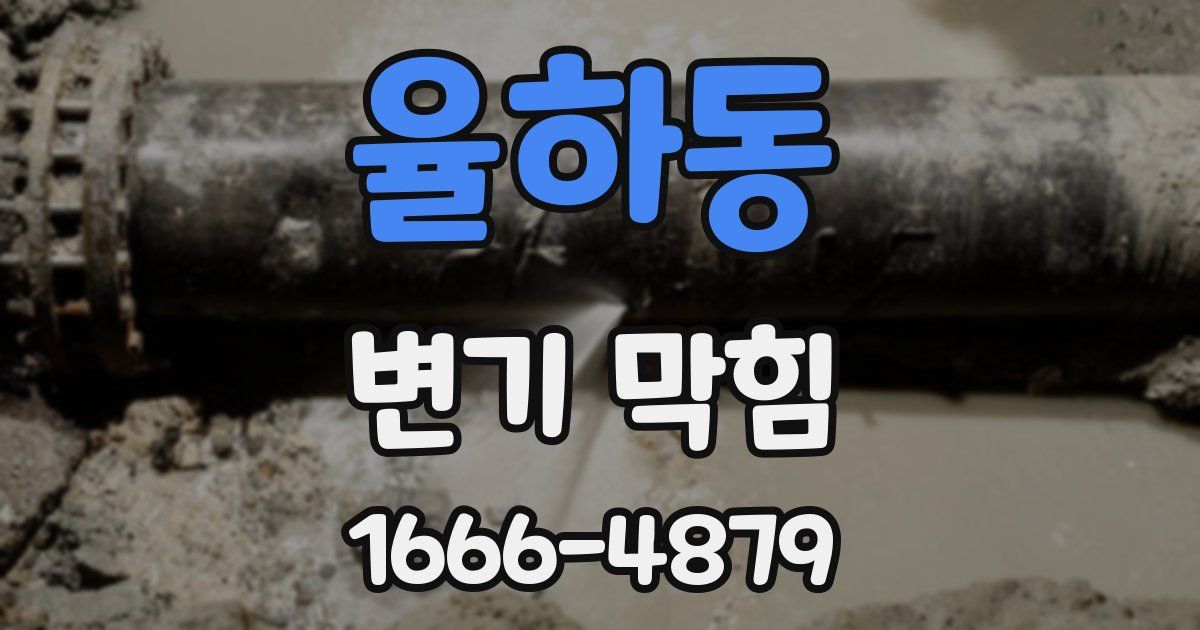 율하동 변기 막힘