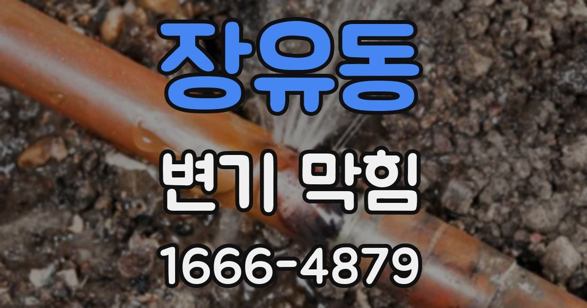 장유동 변기 막힘