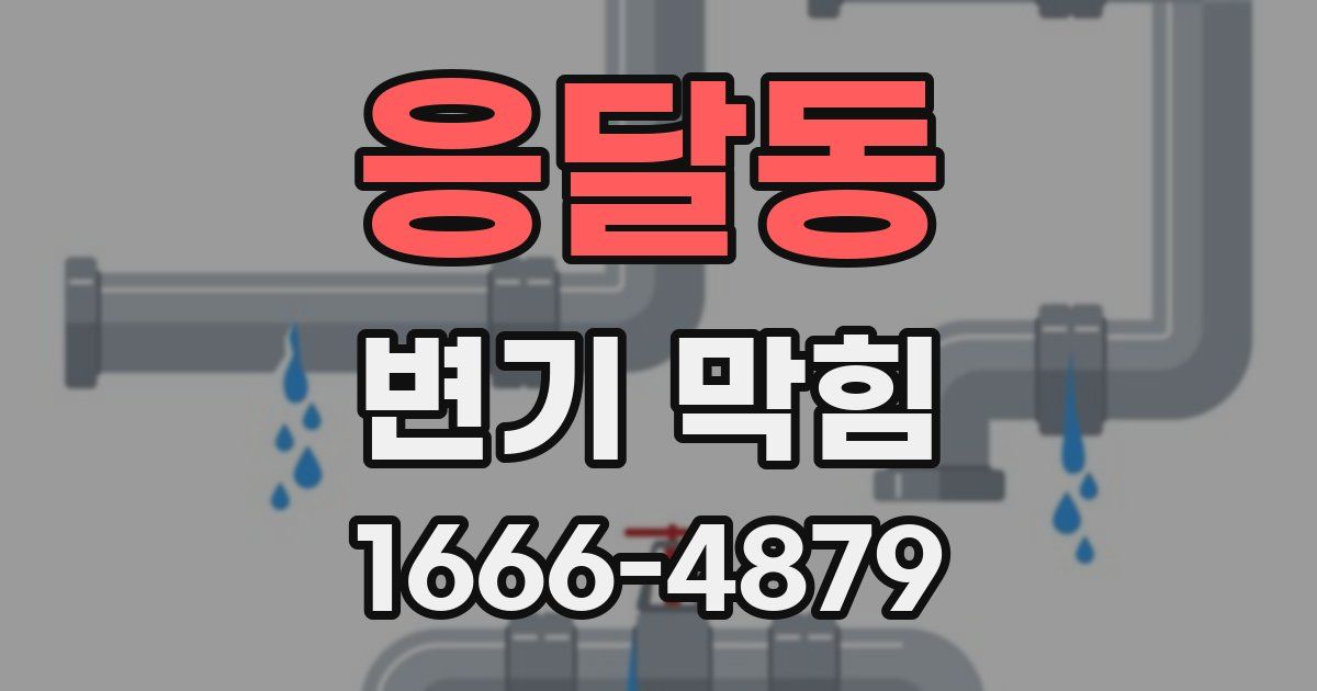 응달동 변기 막힘