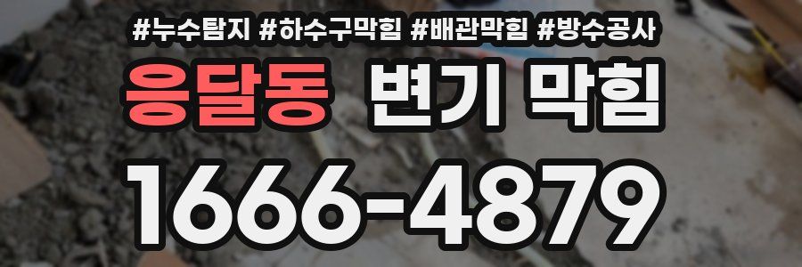 응달동 변기 막힘