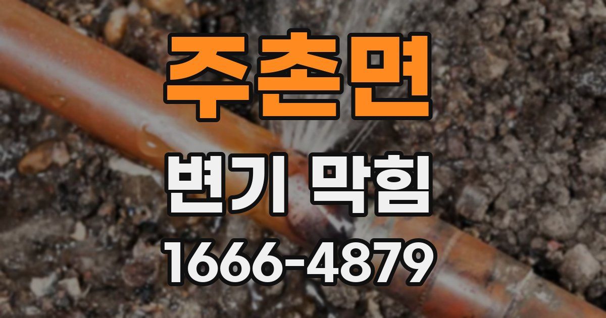 주촌면 변기 막힘
