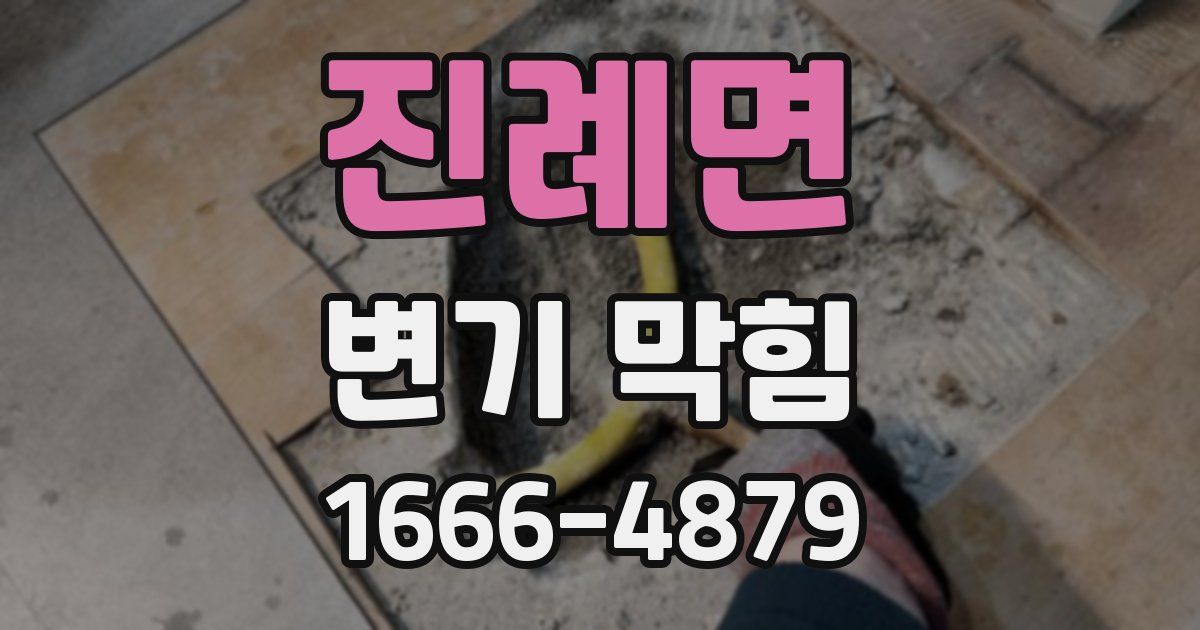 진례면 변기 막힘