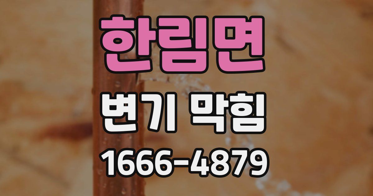한림면 변기 막힘