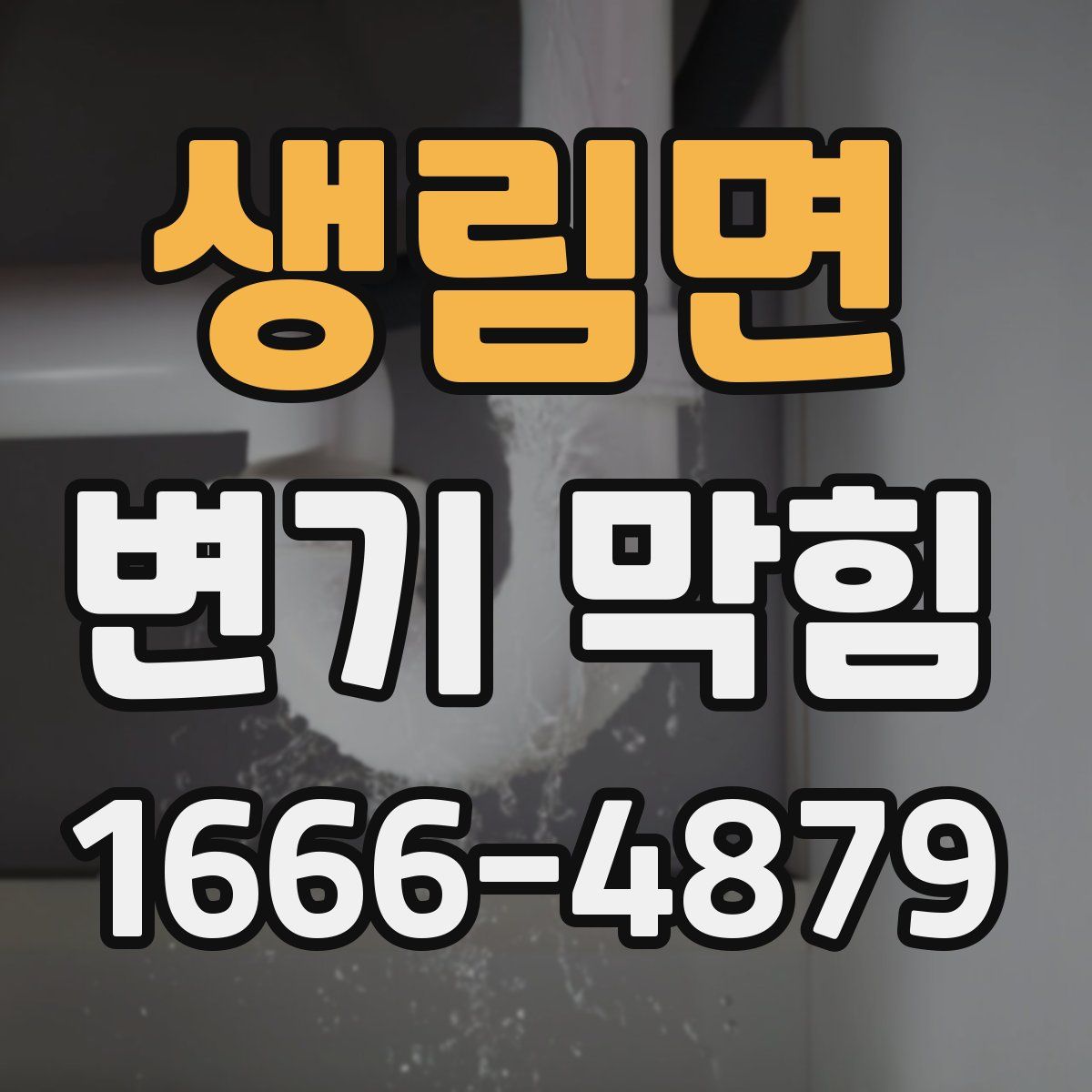 생림면 변기 막힘
