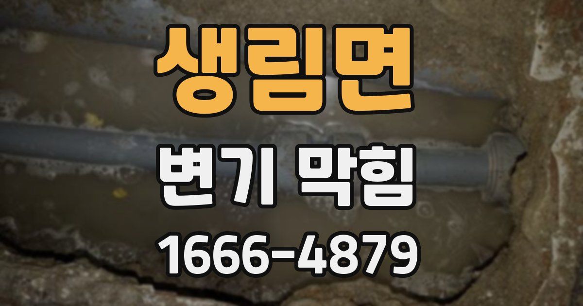 생림면 변기 막힘