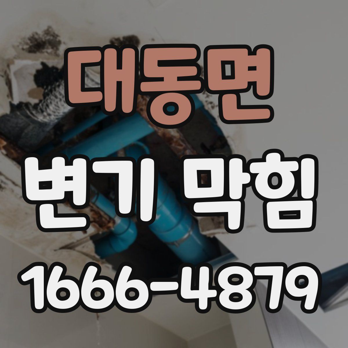 대동면 변기 막힘