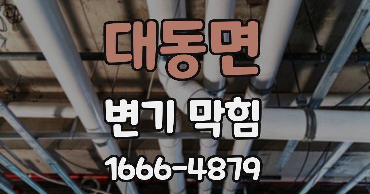 대동면 변기 막힘