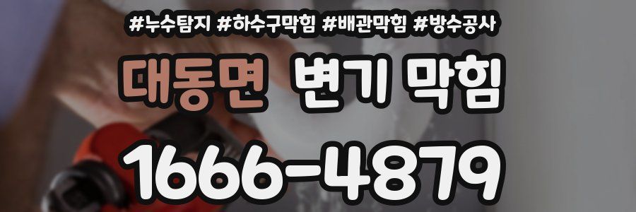 대동면 변기 막힘