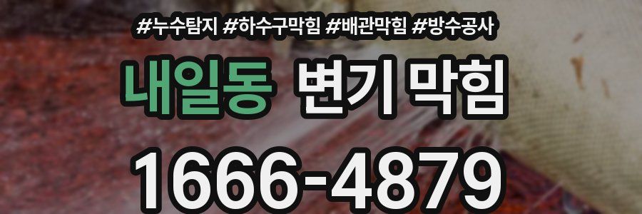 내일동 변기 막힘