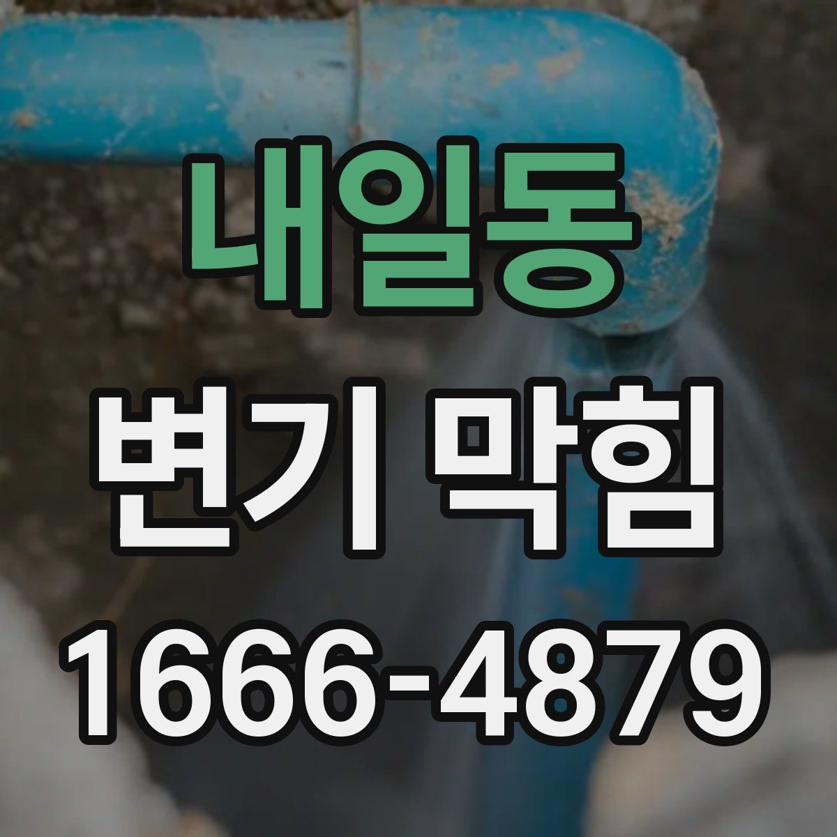 내일동 변기 막힘