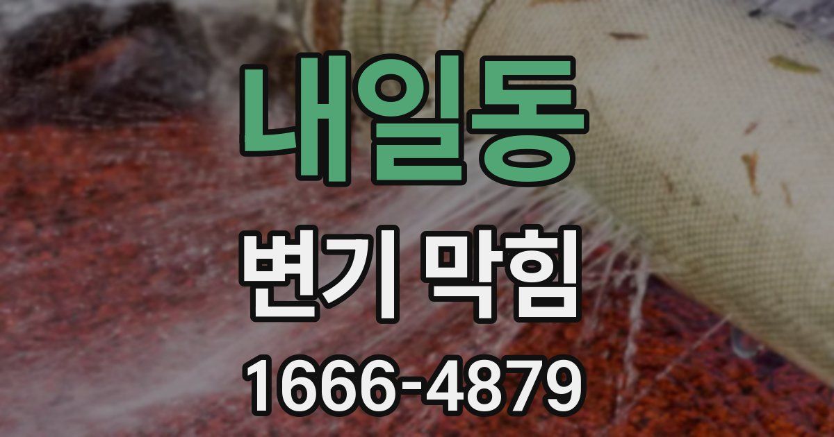 내일동 변기 막힘