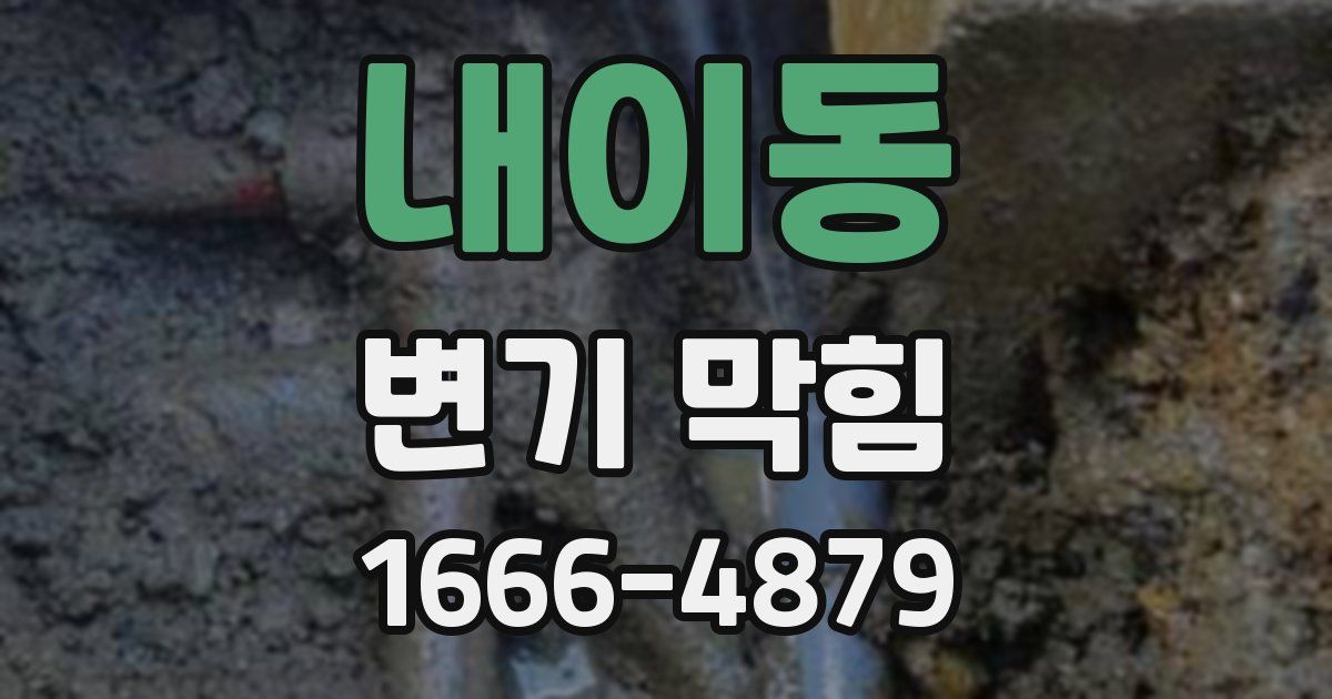 내이동 변기 막힘