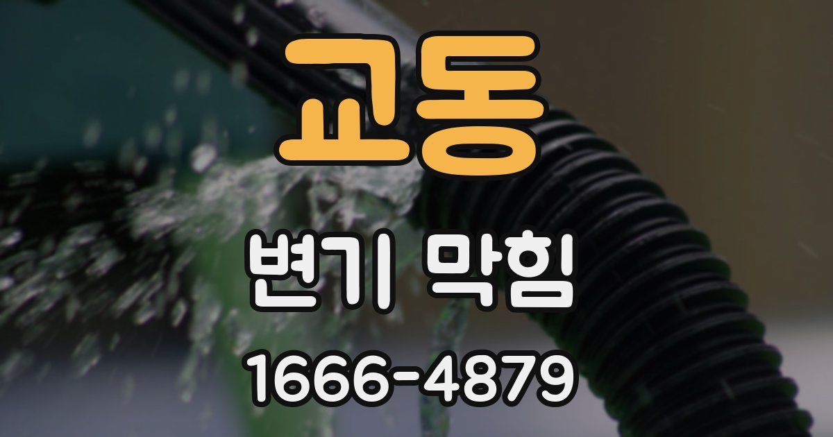 교동 변기 막힘