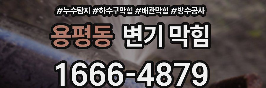 용평동 변기 막힘