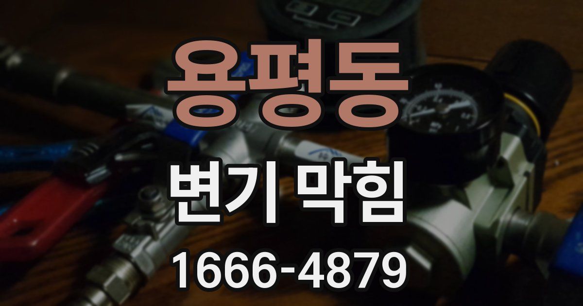 용평동 변기 막힘