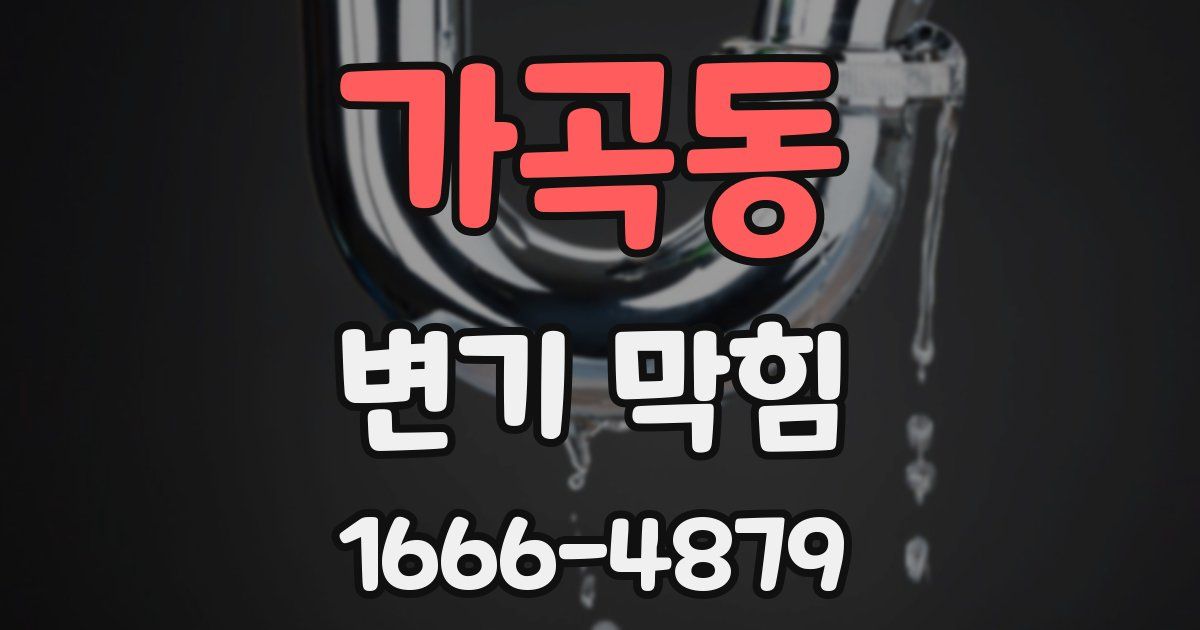가곡동 변기 막힘
