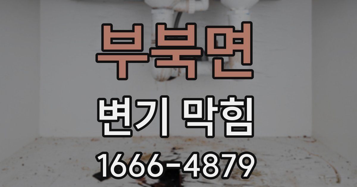 부북면 변기 막힘