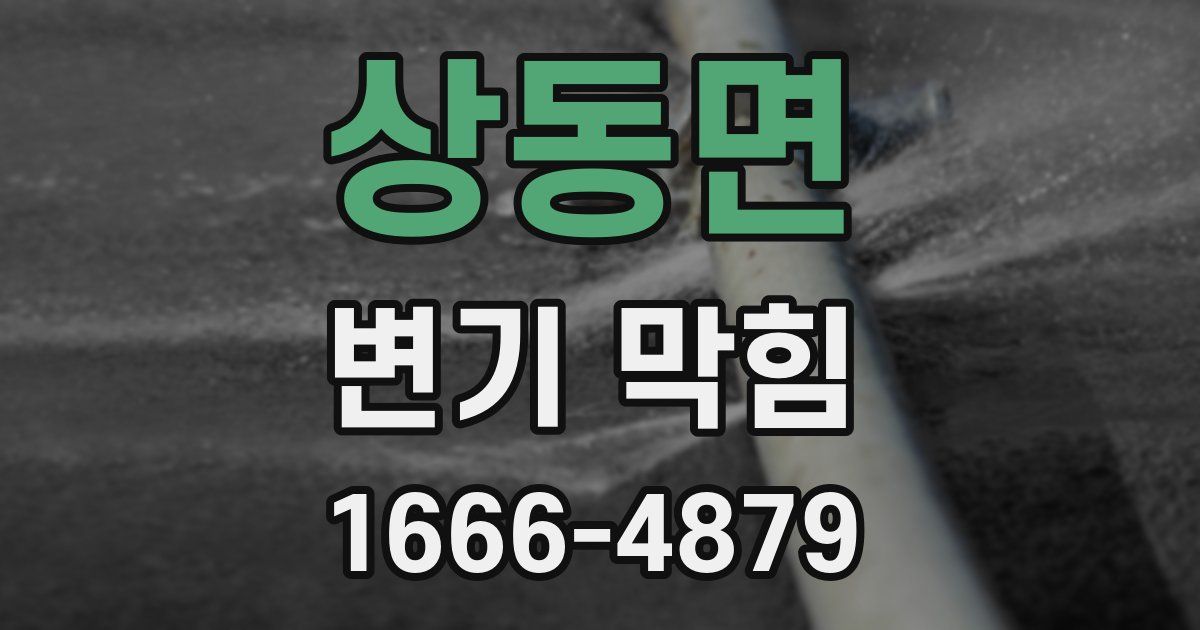 상동면 변기 막힘