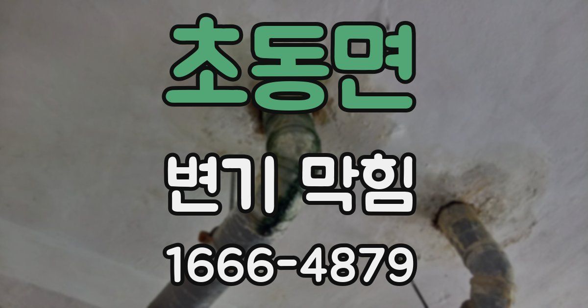 초동면 변기 막힘