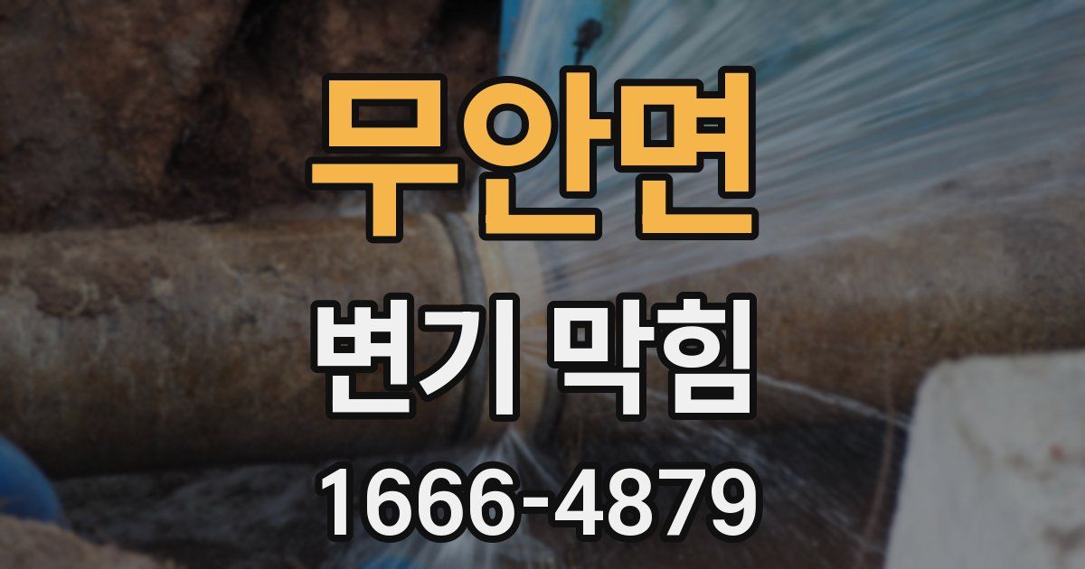 무안면 변기 막힘