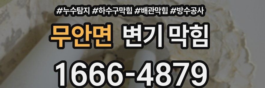 무안면 변기 막힘
