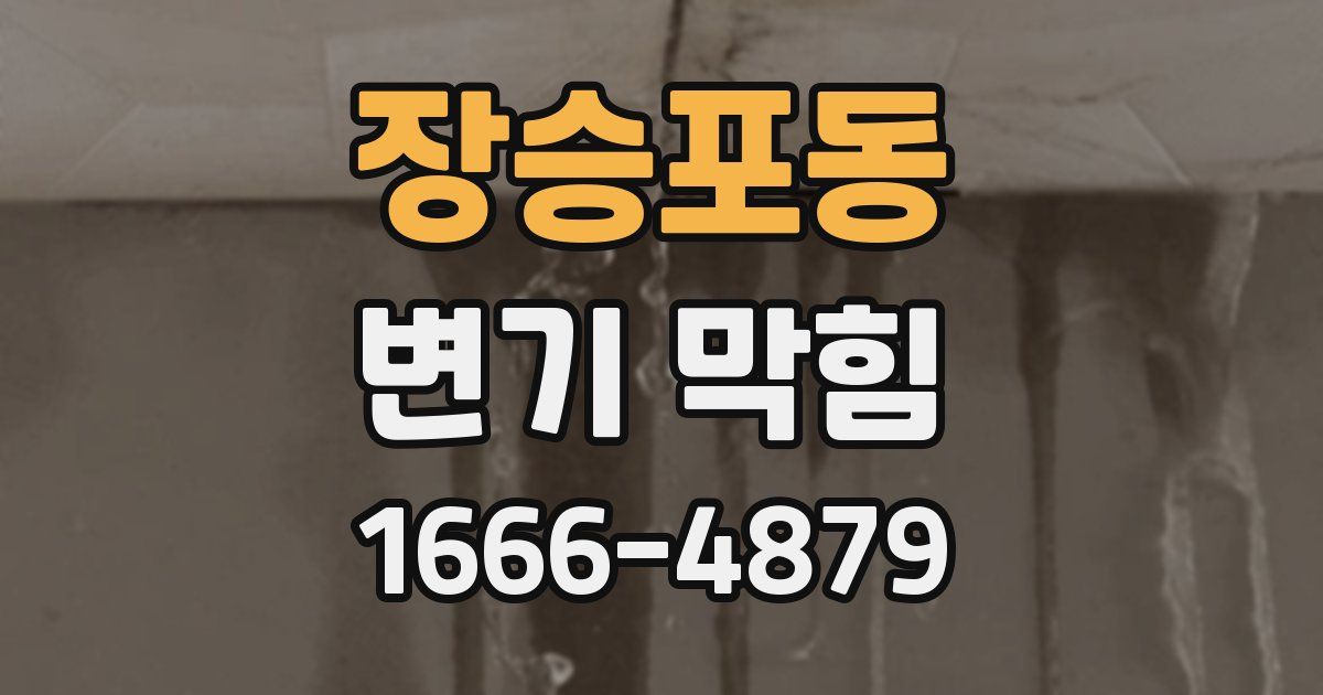 장승포동 변기 막힘